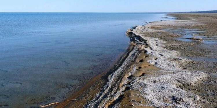 Казахстан возглавил Международный фонд спасения Арала