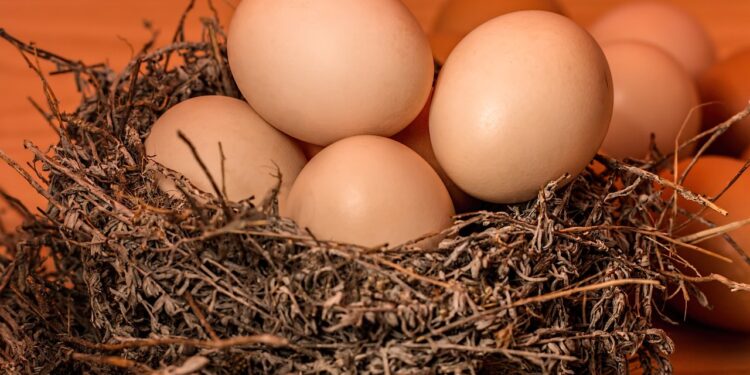 Как Казахстан увеличивает производство пищевого яйца и мяса птицы