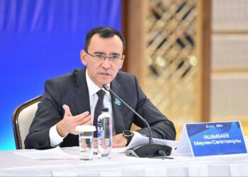 Ашимбаев обозначил пробелы в демографической политике страны