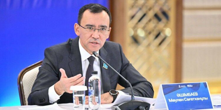 Ашимбаев обозначил пробелы в демографической политике страны