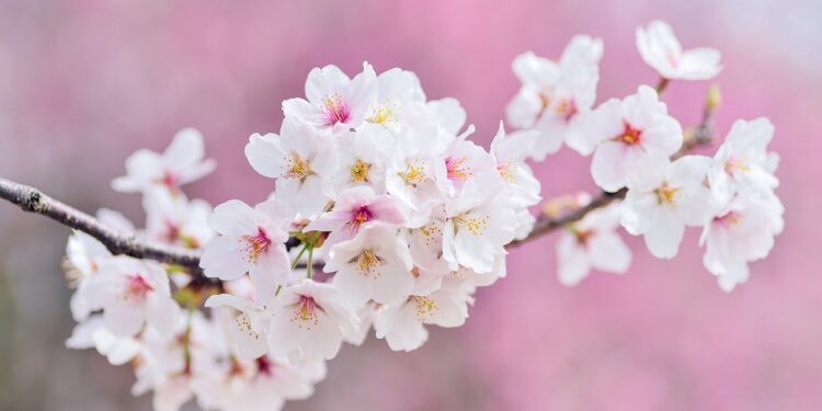 Какая погода ожидает казахстанцев в марте