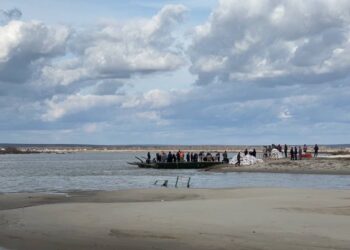 Как казахстанцам получить выплаты за скот, погибший во время паводков