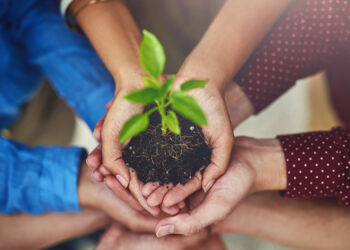 Практическая деятельность концепции сообщества единой судьбы человечества