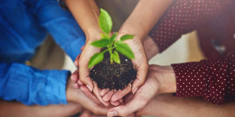 Практическая деятельность концепции сообщества единой судьбы человечества