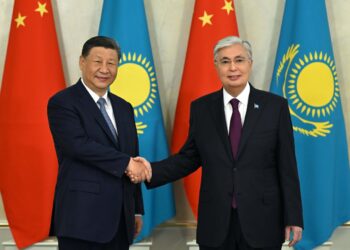 Итоги визита Си Цзиньпина и саммита в Астане: Интервью посла Чжан Сяо