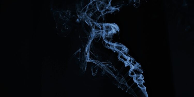 Интернет-магазин по незаконной продаже вейпов установили полицейские в Астане