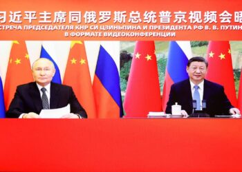Си Цзиньпин и Владимир Путин провели встречу в формате видеоконференции