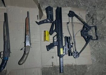 МВД: Изъято более 1000 единиц огнестрельного и травматического оружия