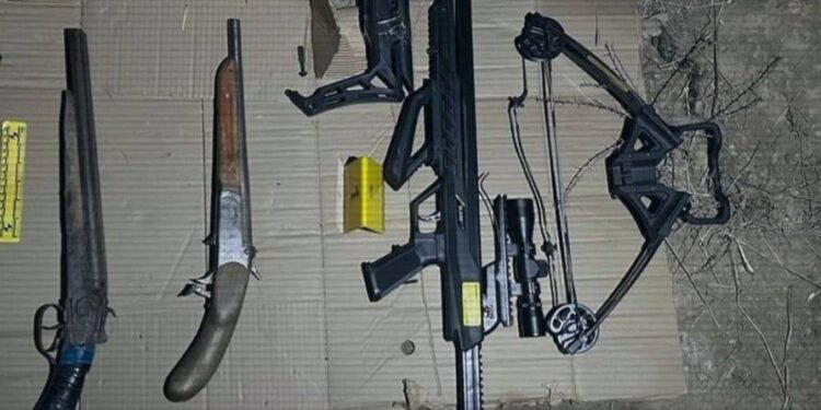 МВД: Изъято более 1000 единиц огнестрельного и травматического оружия