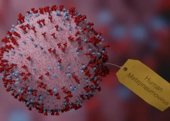 Первая в мире терапия CAR-T для солидных опухолей скоро станет доступна