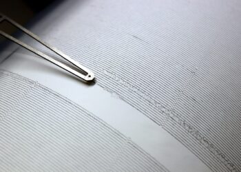 Алматыда күшті жер сілкінісі болды