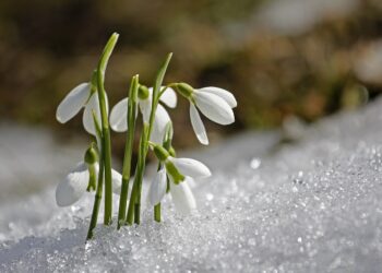 12 наурызда ауа райы қандай болады