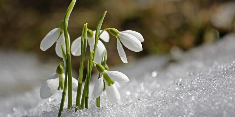 12 наурызда ауа райы қандай болады