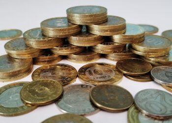 Астаналықтарды алдаған қаржы пирамидасының басшылары сотталды