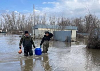 Павлодар өңірі Қостанай және Ақмола облыстарына гуманитарлық көмек көрсетпек