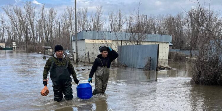 Павлодар өңірі Қостанай және Ақмола облыстарына гуманитарлық көмек көрсетпек