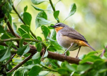 13 мамырда күн қандай болады