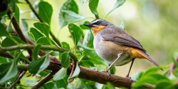 13 мамырда күн қандай болады