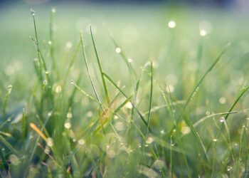 27 мамырға ауа райы: Қай өңірлерде ескерту жарияланды