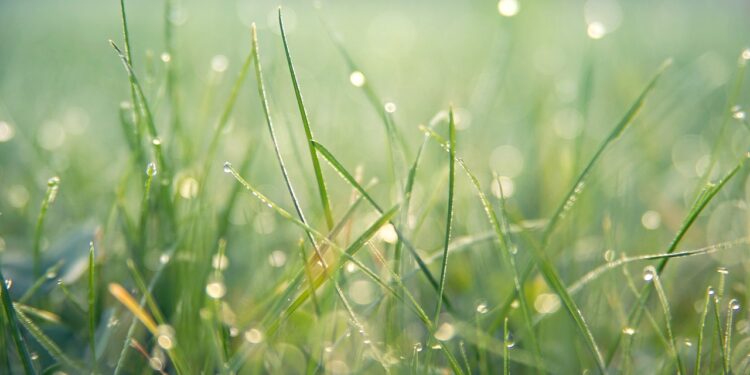 27 мамырға ауа райы: Қай өңірлерде ескерту жарияланды