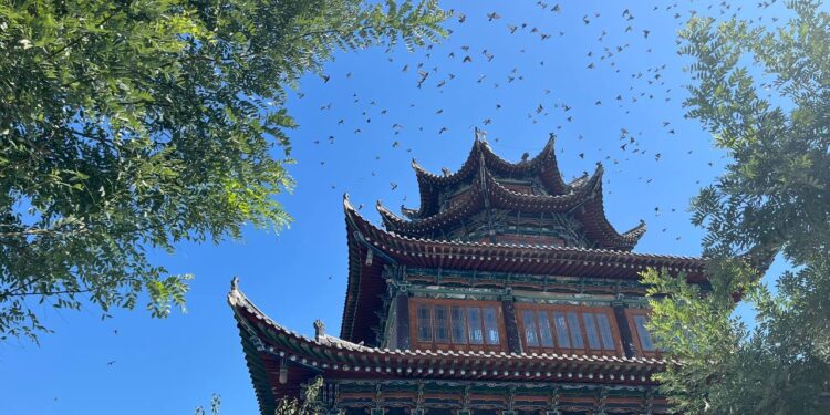 Қытай – музейлер елі