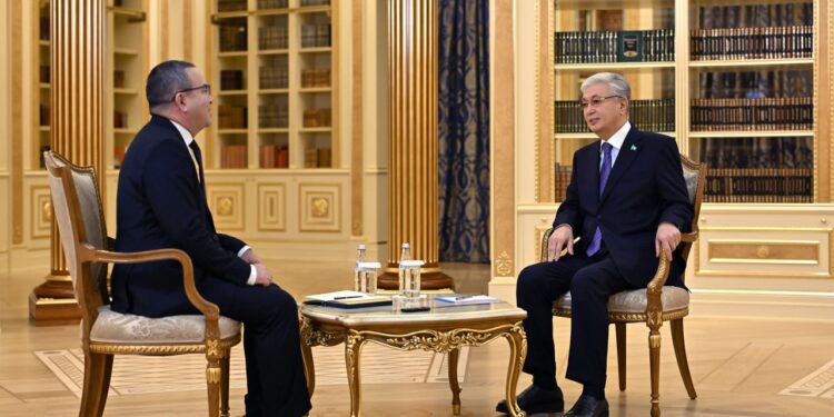 Тоқаев: Жеке абыройымды ойласам, мен де бұл жұмысты келесі басшылыққа ысыра салар едім