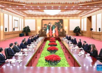 Қытай мен Ирландия бірлесе жұмыс істемек