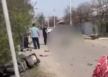 Алматы маңында мопед жүргізушісі жол апатынан қаза тапты