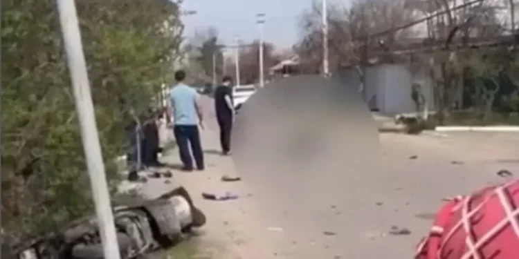 Алматы маңында мопед жүргізушісі жол апатынан қаза тапты