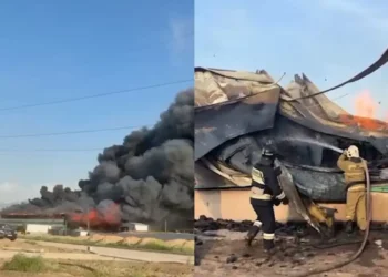 Алматы облысында картон зауытының қоймасы өртенді 