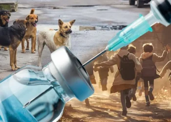 «Бүкіл Мәжілістің ұстанымы»: жануарларға жауапкершілік пен қоғам қауіпсіздігі