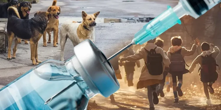 «Бүкіл Мәжілістің ұстанымы»: жануарларға жауапкершілік пен қоғам қауіпсіздігі